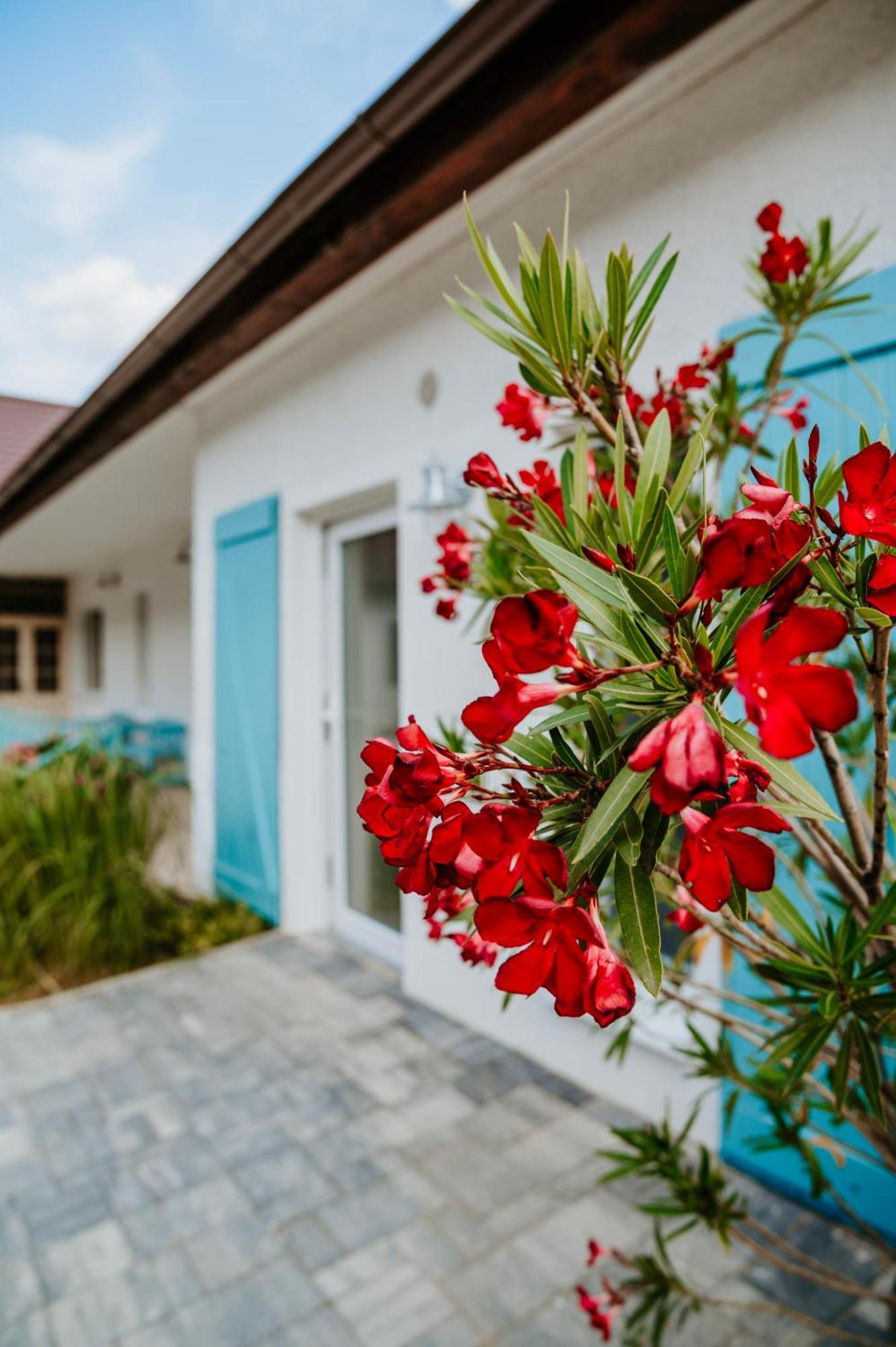 Ako Doma Hotel Poltar ภายนอก รูปภาพ